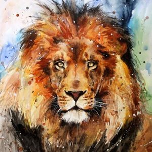 Meet your Posher, Molly